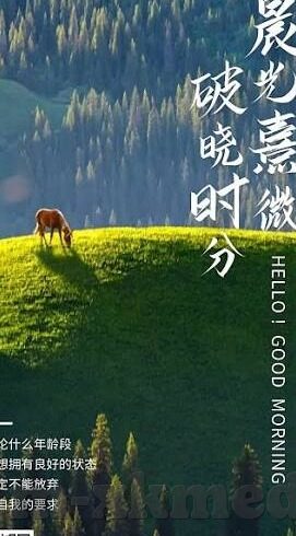 96av麻豆-96av麻豆，网络时代的文化与审美新风貌