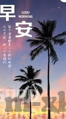 成人免费观看在线视频-网络世界的灰色地带