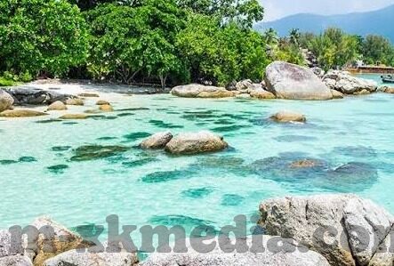 成人永久免费视频-成人永久免费视频，网络时代的隐私与道德边界