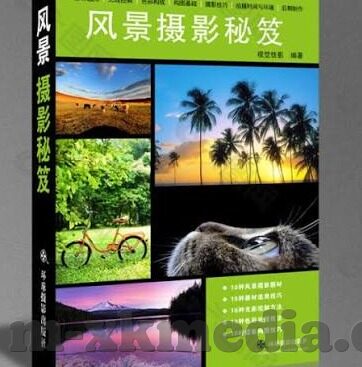 大象传媒mtv-大象传媒与MTV，文化传播的跨界融合