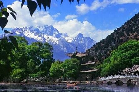 ios糖心app下载-探索智能应用的苹果之选，iOS平台下的糖心App
