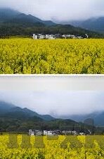 麻豆传媒合作app-数字时代的创意桥梁 —— 麻豆传媒合作APP的革新影响