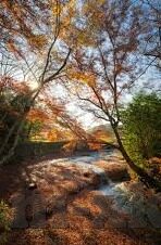 糖心视频app广告-揭秘糖心视频app广告，真假难辨的信息洪流中，需谨慎甄别