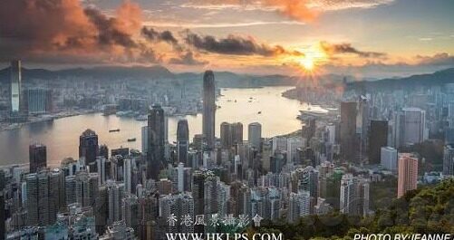 下载糖心app-探索数字时代的便捷生活，下载糖心APP的奇妙之旅