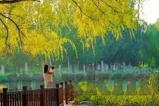 正在播放麻豆av-XXX文化的理解与思考，当音乐遇见个人表达艺术